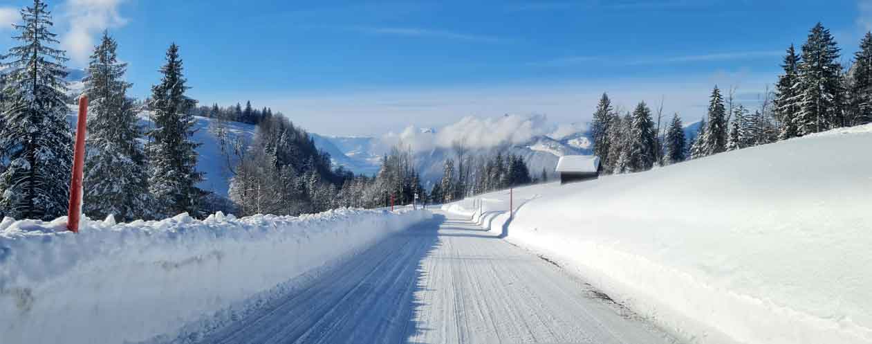 Bild Ski Lieferservice mit 24h Kurier